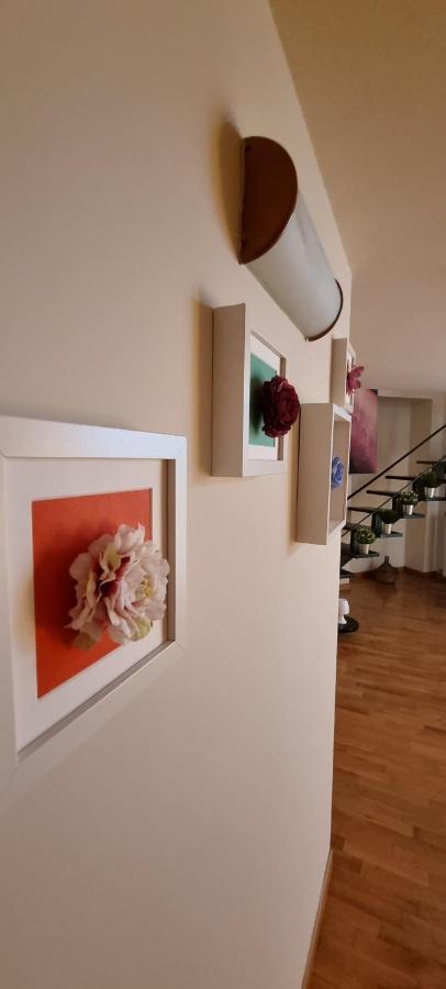 Leonardo Home Caserta Ngoại thất bức ảnh